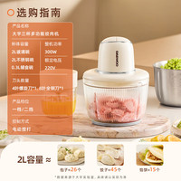 大宇（DAEWOO）家用电动绞肉机迷你小型碎肉机打肉机绞馅机三杯双刀多功能易收纳婴儿宝宝辅食料理机2024JR05 【标配款】玻璃碗单刀 2L