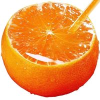 樱鲜 特大果王 四川眉山 爱媛38号果冻橙 9斤 单果80mm+