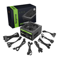 七彩虹 鑫谷额定850W 750W全模组电源80PLUS认证主动式PFC防护智能温控台式组装电脑电源 AM750W 全模组电源