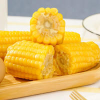 一支鲜 黄糯玉米 200g*10棒