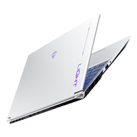 MACHENIKE 机械师 曙光15Pro 2024款 七代锐龙版 15.6英寸 游戏本 银色(锐龙R9-7940H、RTX 4060 8G、32GB、1TB SSD、2.5K、165Hz)