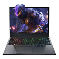 ThundeRobot 雷神 猎刃16 十三代酷睿版 16英寸 游戏本 灰色(酷睿i9-13900HX、RTX 4060 8G、16GB、1TB SSD、2.5K、IPS、240Hz)