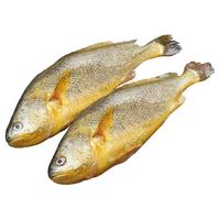 东上御品 山东新鲜冷冻深海整条大黄花鱼净重400-500g/条*2条 源头直发 速冻黄花鱼400-500g*2条