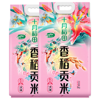 SHI YUE DAO TIAN 十月稻田 香稻贡米 5kg*2袋