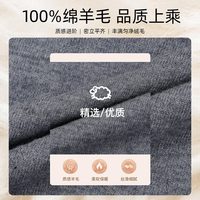 才子（TRIES）商务男士半高领羊毛衫秋冬纯色毛衣男100%纯羊毛轻奢保暖针织衫 灰色 XL 50 175/92A