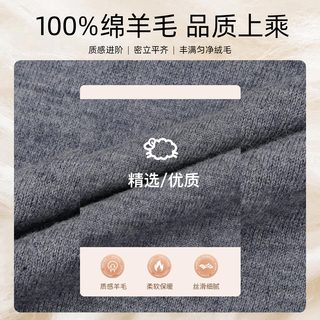 才子（TRIES）商务男士半高领羊毛衫秋冬纯色毛衣男100%纯羊毛轻奢保暖针织衫 灰色 3XL 54 185/100A