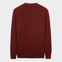 才子（TRIES）100%纯羊毛衫男士秋冬加厚半高领毛衣柔软亲肤保暖纯色打底针织衫 棕色 XL 50 （175/92A）