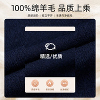 才子（TRIES）商务男士半高领羊毛衫秋冬纯色毛衣男100%纯羊毛轻奢保暖针织衫 藏青色 XL 50 175/92A