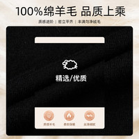 才子（TRIES）商务男士半高领羊毛衫秋冬纯色毛衣男100%纯羊毛轻奢保暖针织衫 黑色 XL 50 175/92A