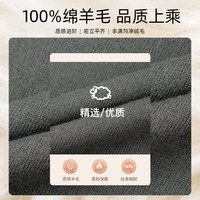 才子（TRIES）商务男士半高领羊毛衫秋冬纯色毛衣男100%纯羊毛轻奢保暖针织衫 绿色 L 48 170/88A