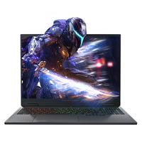 ThundeRobot 雷神 猎刃16 十四代酷睿版 16英寸 游戏本