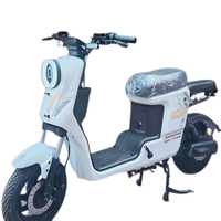 深远 S&Y SHENYUATECHNOLOGY格士铃009载重成人1.0电动自行车代步外卖电动车锂电池国标运动版 009