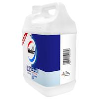 Walch/威露士 泡沫洗手液 5L
