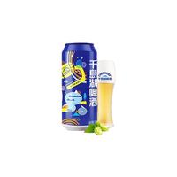 CHEERDAY 千岛湖啤酒 乐享醉美时光 啤酒 500ml*24听*2箱