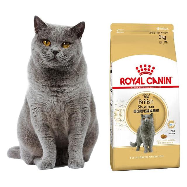 皇家 BS34英国短毛猫成猫猫粮 4.5kg