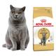 88VIP：皇家 BS34英国短毛猫成猫猫粮 4.5kg