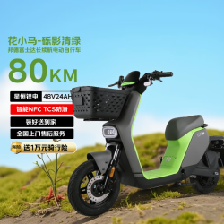 花小马 电动自行车M11H48v24ah星恒锂电采销实测续航对置双缸前碟刹TCS防滑NFC 车架终生质保 砾影清绿