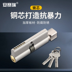 安赛瑞 房门锁芯 通用型锁心木门锁芯防盗门 小70mm 单开 银色 EA500013