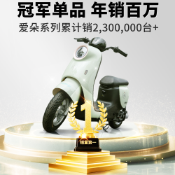 爱玛 爱朵PRO 48V24Ah锂电 长续航豪华复古电动车