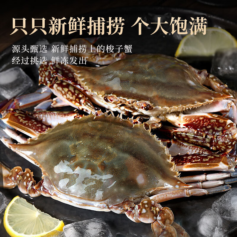 舟山 鲜活野生大螃蟹新鲜冷冻海鲜水产海蟹飞蟹白蟹顺丰 【 个大肉多】净重