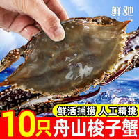 舟山梭子蟹 鲜活野生大螃蟹新鲜冷冻海鲜水产海蟹飞蟹白蟹 3-4两/只【精品野生10只装】