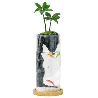 喜鹊说 竹柏苔藓微景观生态瓶小鱼缸办公桌面罗汉松小盆栽绿植好养送 罗汉松-深潭景观杯 带盆栽好