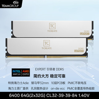  Team/十铨 10层PCB板 DDR5内存条  32GB*2 64GB