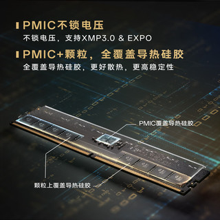  Team/十铨 10层PCB板 DDR5内存条  32GB*2 64GB