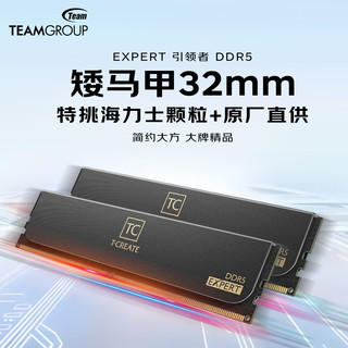  Team/十铨 10层PCB板 DDR5内存条  32GB*2 64GB