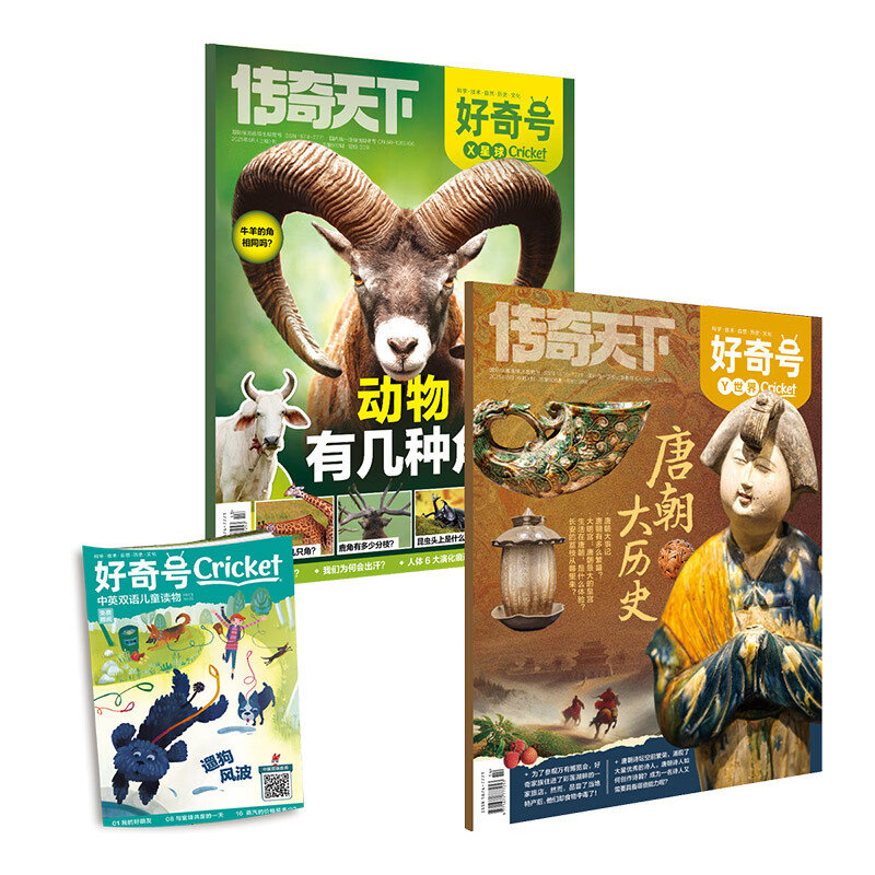 【多期可选】好奇号杂志2025年/2024年//2022年青少年科普期刊杂志大历史系列 2025年11月