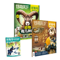 【多期可选】好奇号杂志2025年/2024年//2022年青少年科普期刊杂志大历史系列 2025年11月