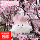 今日必买：武汉文创 蒜鸟发声玩偶纪念品【限定】粉色樱花蒜鸟【1个装】