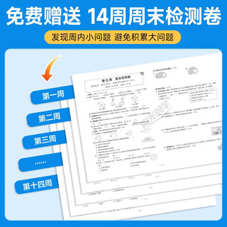 阳光同学 2025秋 提优新卷六年级上册数学北师版 同步教材综合提优卷期中期末单元测试卷