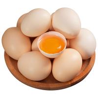 河南鸡蛋大王 新鲜散养土鸡蛋助农