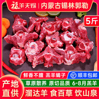 福羊天赐 内蒙古羊蝎子羊脊骨 5斤