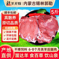 福羊天赐 内蒙古纯羊腿肉羊排羊蝎子 5斤