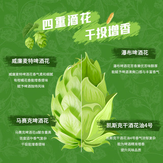 斯坦根 全麦精酿啤酒 500ml*24罐 整箱
