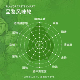 斯坦根 全麦精酿啤酒 500ml*24罐 整箱