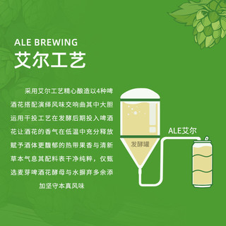 斯坦根 全麦精酿啤酒 500ml*24罐 整箱