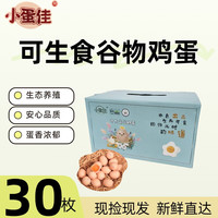 小蛋佳邯郸特产农家鲜鸡蛋无抗生鲜鸡蛋谷物鸡蛋单枚50克 可生食30枚蓝色日常款