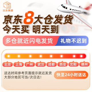 启致创想我的世界磁力方块儿童益智玩具3-6-10岁磁吸积木男女孩生日礼物 磁力积木x100，人仔x7，说明书x1