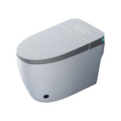 陶尔曼 家用智能马桶一体式即热全自动翻盖坐便器泡沫盾无水压限制