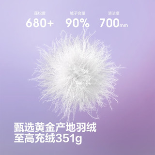 波司登 B250243108 90绒长款羽绒服 幻夜黑 XL