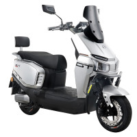 五星钻豹 ZB1200DT-57 电动车 5950084733938 72V24A