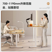 乐歌 电动升降桌电脑桌双电机站立办公家用学习书桌ES2/1.2m原木色套装 ES2白腿|环保生态板|原木色