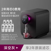 德克西 德国德克西净水器家用直饮加热一体机自来水过滤饮水机台式净水机