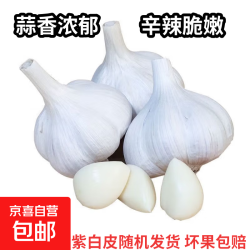 京喜 紫白皮蒜 国产水果大蒜 100g 3.5-5cm