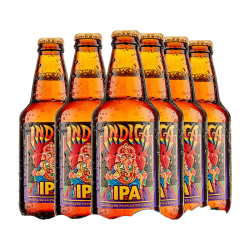 迷失海岸 美国进口精酿啤酒 IPA啤酒 象神IPA 355mL 6瓶