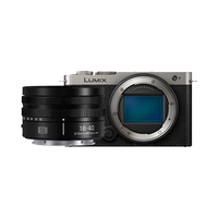 松下S9 +18-40mm 微单单电/全画幅数码相机 实时LUT 滤镜直出 连接APP极速分享 多色选择 L卡口 S9单机身+18-40mm白盒单镜头套装【银色】