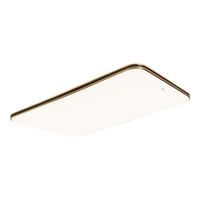 松下（Panasonic）灯具方形吸顶灯客厅主灯室内大灯现代大气家用餐厅灯主卧卧室灯 黑金120W 米家智控 HHXSX334L